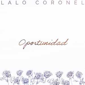 Oportunidad