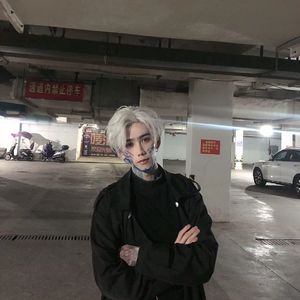 你如白马踏京城（翻自 群星）