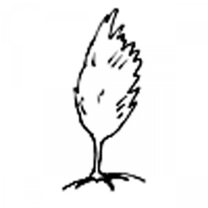 Feuerholz