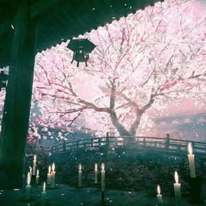 桜の樹の下