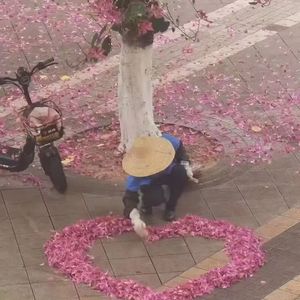 明灭的思念