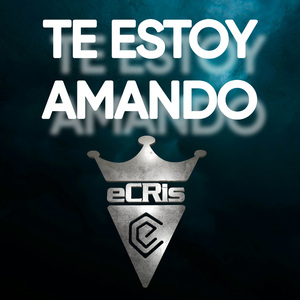 TE ESTOY AMANDO