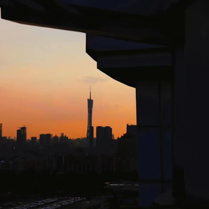 蜜蜂（雨声白噪）