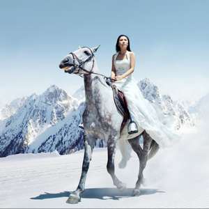 我心爱的小青马