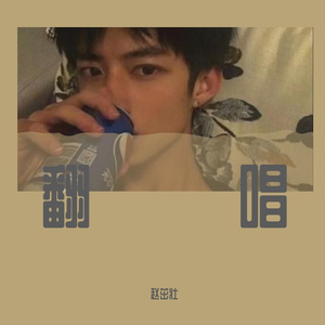 暗示分离-翻唱（en)