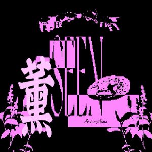 薰衣草一样的比拟