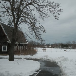 Extra Terrestrial Baby