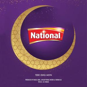 Tere Ishq Mein (feat. Ali Hamza, Ahsan Pervaiz Mehdi & Farhan Ali) (National Condiments)