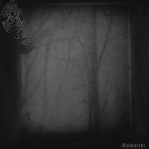 Metacosmic Dissasembly of the Veil before Chaos