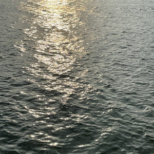 那一天在我梦里的小河