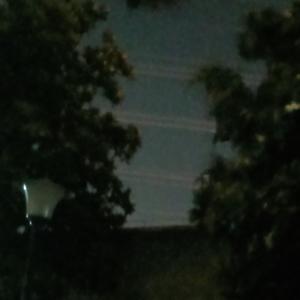 那个夏天我没能拯救世界wip