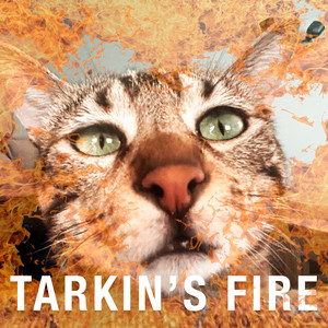 Tarkin's Fire