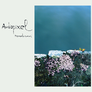 J'ai plus de peine pour un chat écrasé