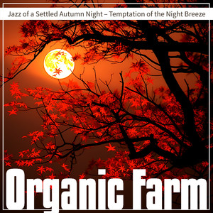 Crescent Moon's Timeless Haze