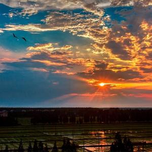 你还会记得我吗？