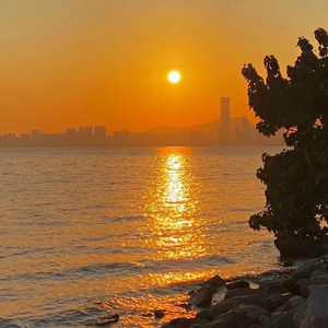 落日亲吻银光海