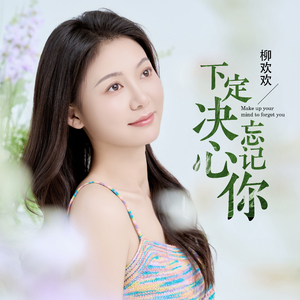 下定决心忘记你 (DJ彭锐版)