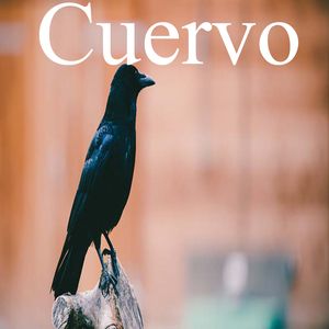 Cuervo