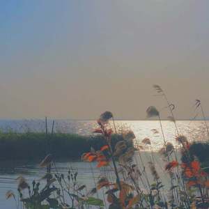 漫长的告白（翻自 双笙）