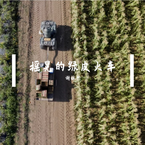 摇晃的绿皮火车