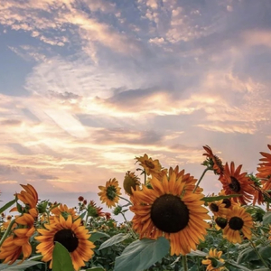 快乐才对得起自己.wav