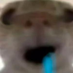 哈基米（加速进行曲）