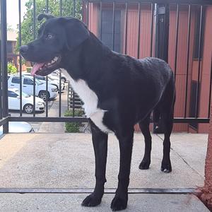 Mi preciosa hondureña