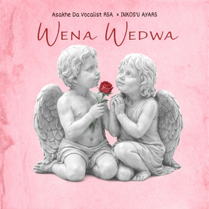 WENA WEDWA