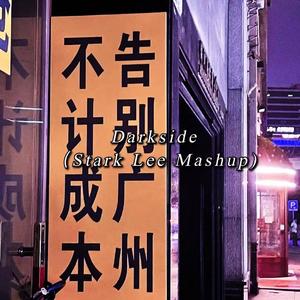 Alan Walker - Darkside（Stark Lee Mashup)