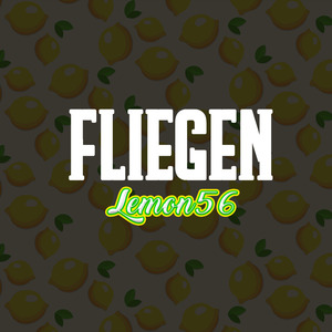 Fliegen