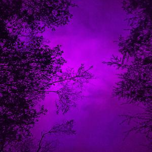Violette Nacht