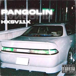 PANGOLIN (1)