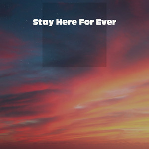 Stay Here Forever
