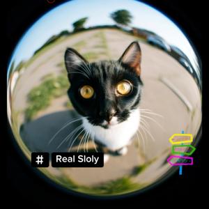 Fading Out (Lo-fi Mix)