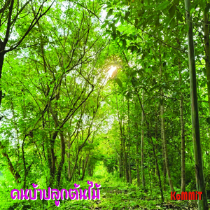 คนบ้าปลูกต้นไม้