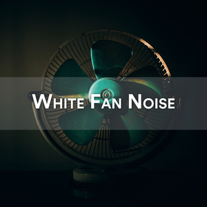 02. White Noise Fan