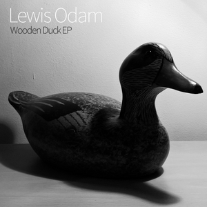 Wooden Duck (Original Mix)