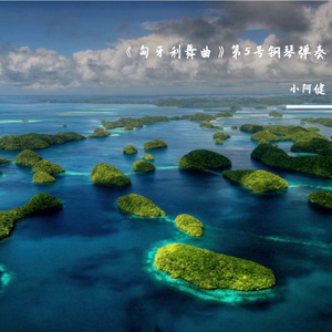 勃拉姆斯《匈牙利舞曲》第5号钢琴弹奏