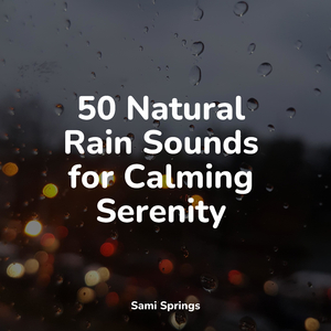 Forest Sounds (Birds)