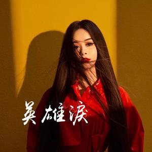 英雄泪 (DJ伴奏)