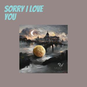 Sorry I Love You