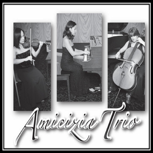 Piano Trio No. 5 in D Major, Op. 70, No. 1, "Ghost": I. Allegro Vivace E Con Brio