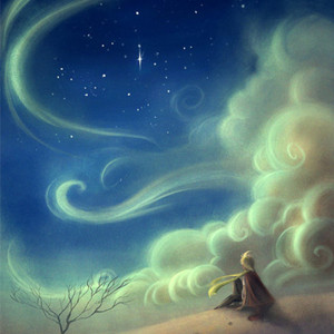 小王子的美丽星球