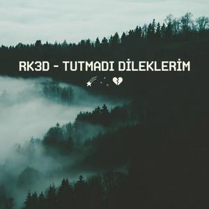 Tutmadı Dileklerim