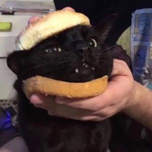 【FREE】 ”柒“