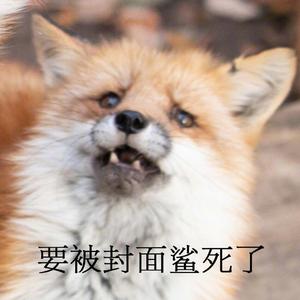 雨に歌う谭诗曲