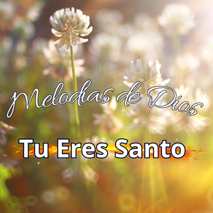 Tu eres Santo