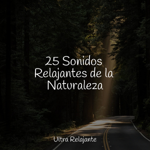 Canciones De Cuna Con Encanto