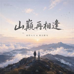 山巅再相逢DJ版