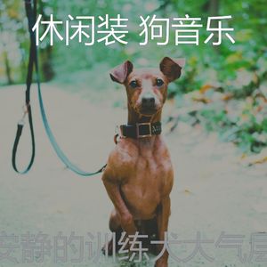 柔和的小狗时刻